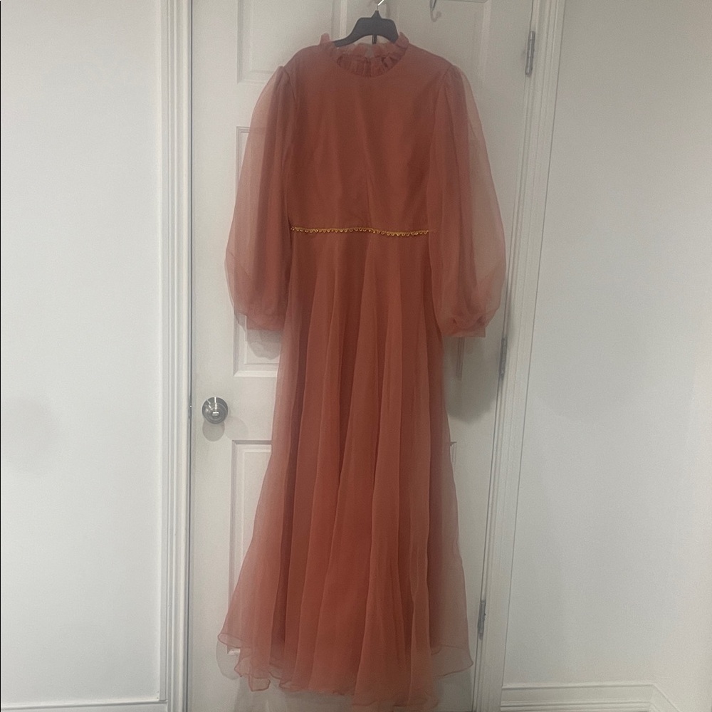 Rust-Tone Chiffon Maxi Dress with Sheer Puff Sleeves